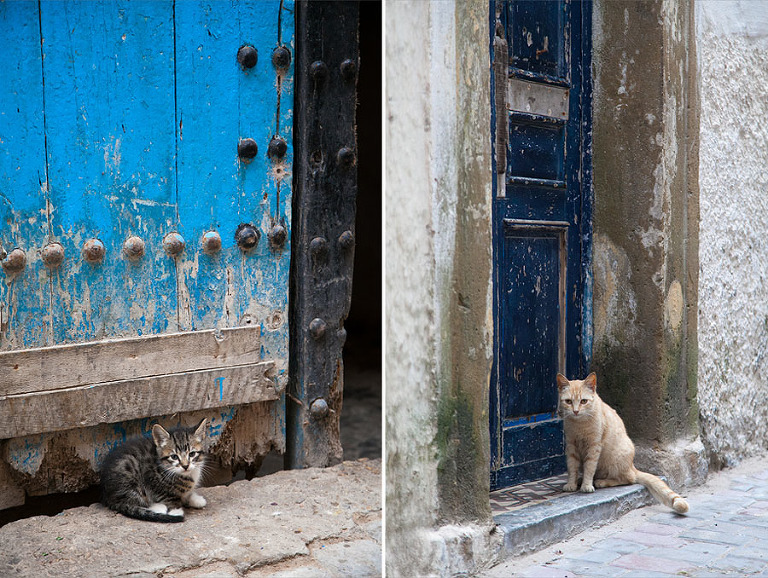Essaouira, Morocco | Shea Mayberry Photography