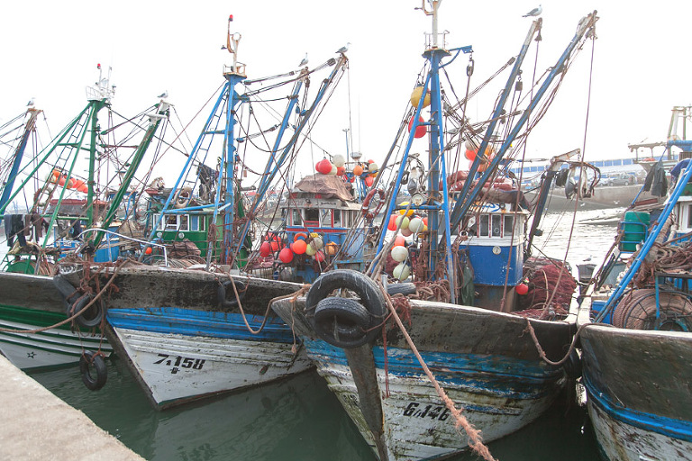 Essaouira, Morocco | Shea Mayberry Photography