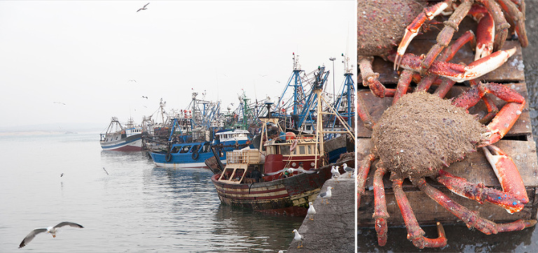 Essaouira, Morocco | Shea Mayberry Photography