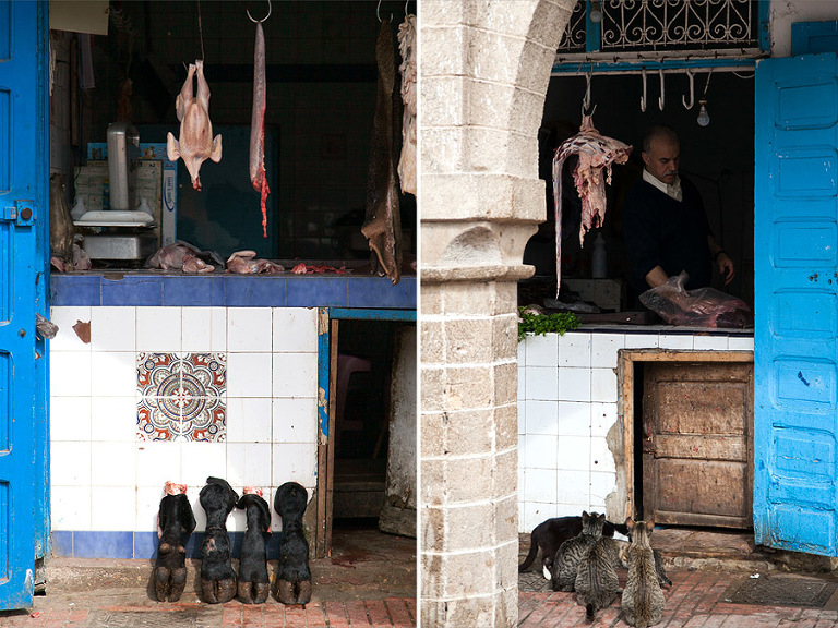 Essaouira, Morocco | Shea Mayberry Photography